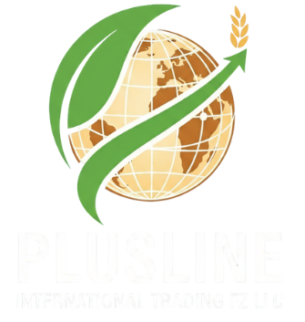 pluslineuae.com